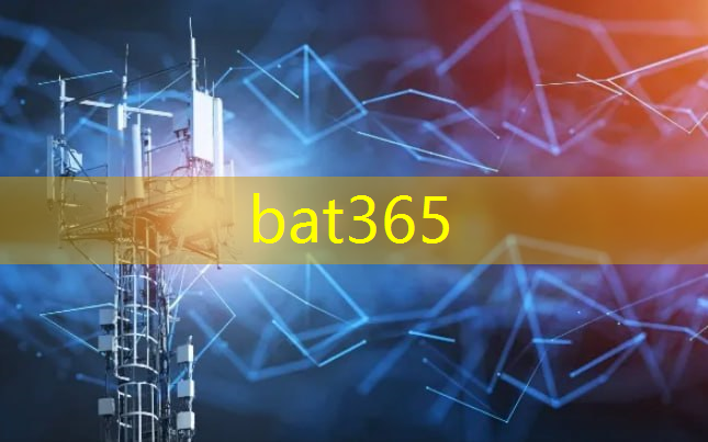 bat365：韶关智慧城市数字化注意事项