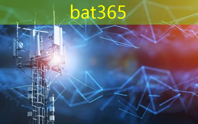 bat365：临沂市智慧城市管理