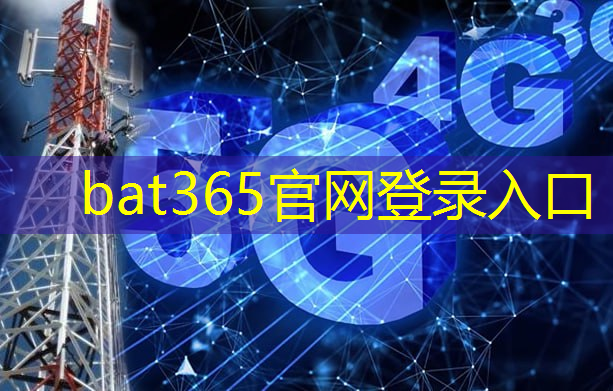 bat365在线登录网站：智慧城市建设背后的社会安全框架解析